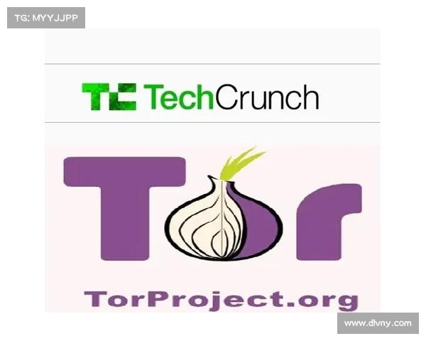 什么是Tor浏览器?用于保护您的在线身份的软件 在线 什么是Tor浏览器?用于保护您的在线身份的软件 在线